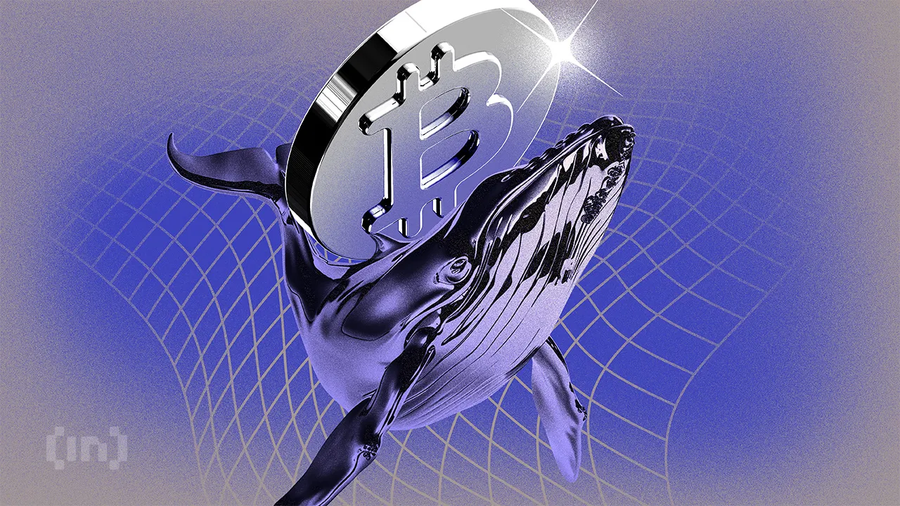 Bitcoin Whales Pull Millions Off Exchanges as New Buyers Surge — BTC Ready to Rally?