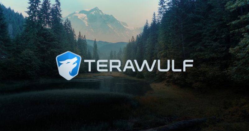 Google ups stake in Bitcoin miner TeraWulf to 14%, WULF jumps 13%