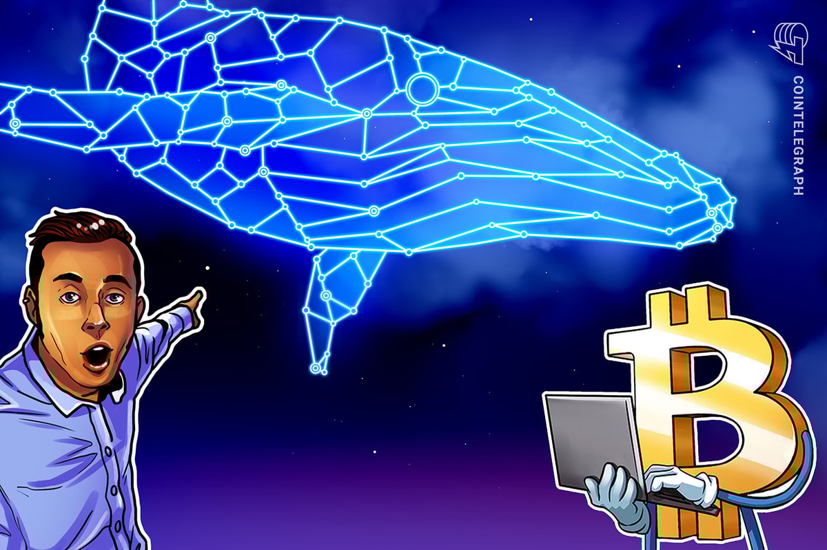 Whale awakens after 12 years, transfers 1,000 BTC ahead of FOMC decision