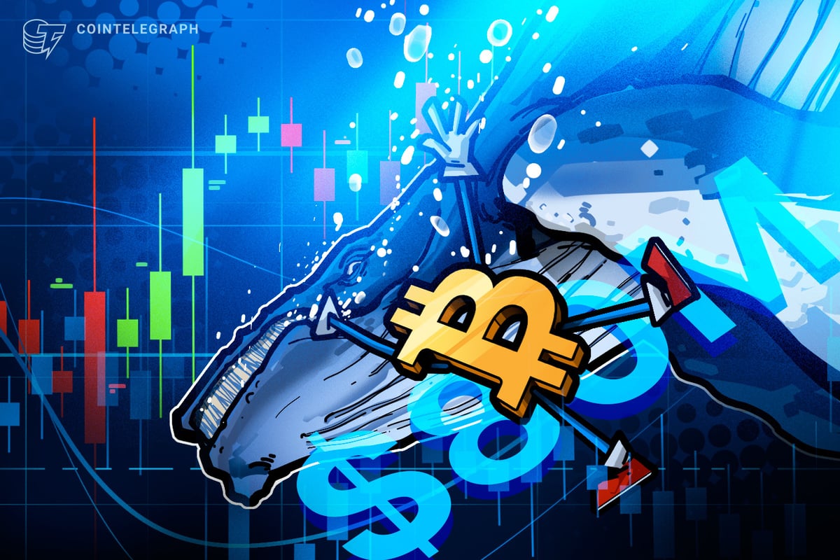 $80M Hyperliquid Whale Bet Predicts Bitcoin Crash and Oil Rally